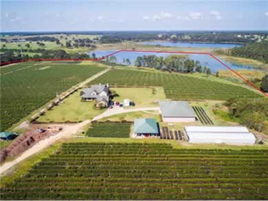 Florida Farm Land Real Estate Specialist - Let us help you buy or sell your next Farm Land Property