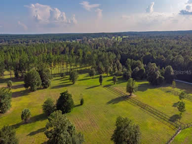 Florida Farm Land Real Estate Specialist - Let us help you buy or sell your next Farm Land Property