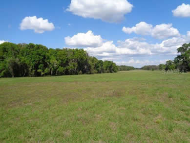 Florida Farm Land Real Estate Specialist - Let us help you buy or sell your next Farm Land Property