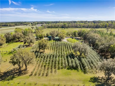 Florida Farm Land Real Estate Specialist - Let us help you buy or sell your next Farm Land Property