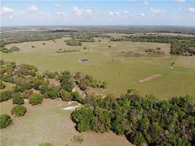 Florida Farm Land Real Estate Specialist - Let us help you buy or sell your next Farm Land Property