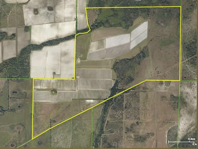 Florida Farm Land Real Estate Specialist - Let us help you buy or sell your next Farm Land Property