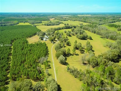 Florida Farm Land Real Estate Specialist - Let us help you buy or sell your next Farm Land Property