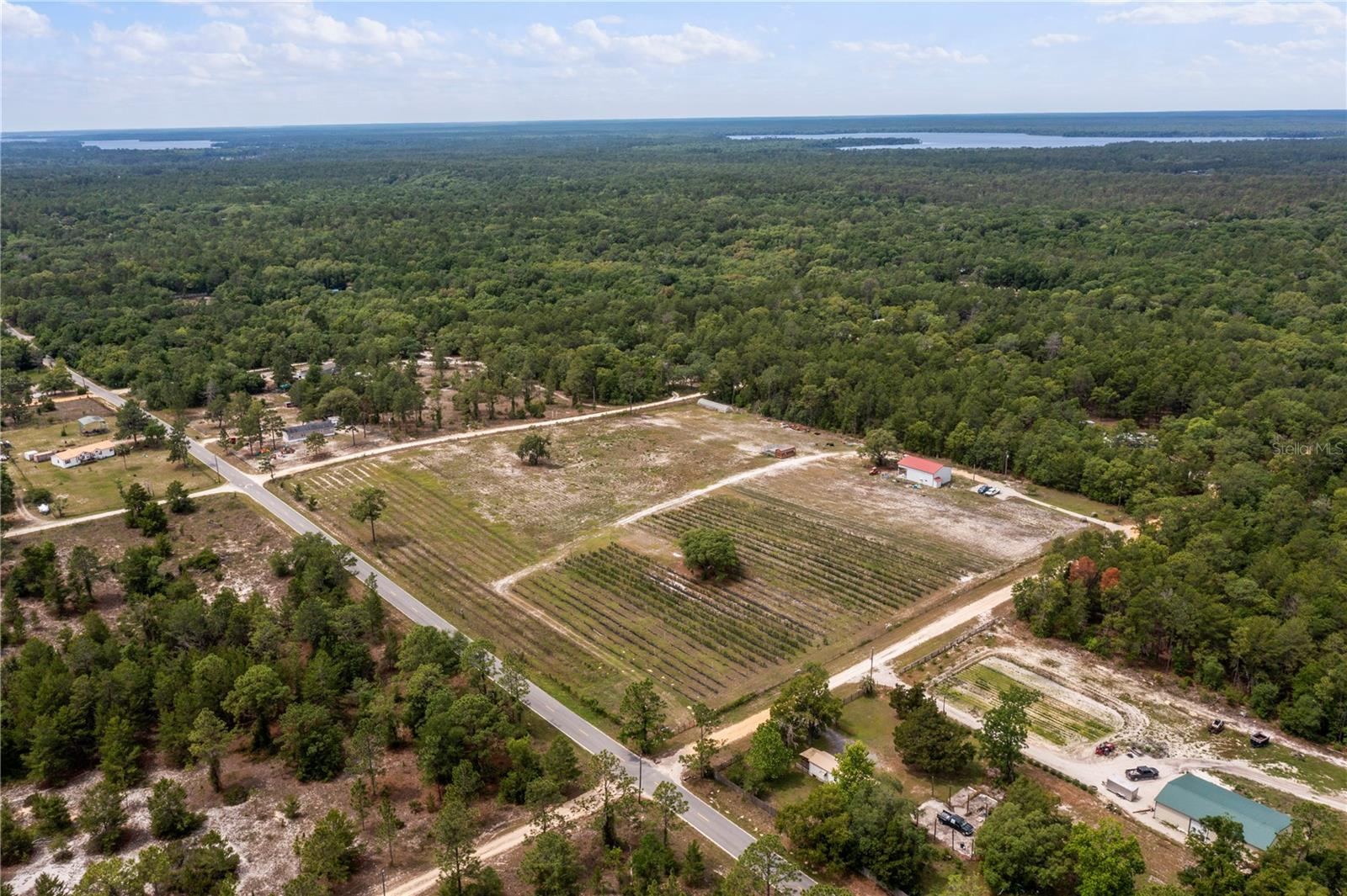 10 Acre Blueberry or Strawberry Farm For Sale in Putnam County, FL