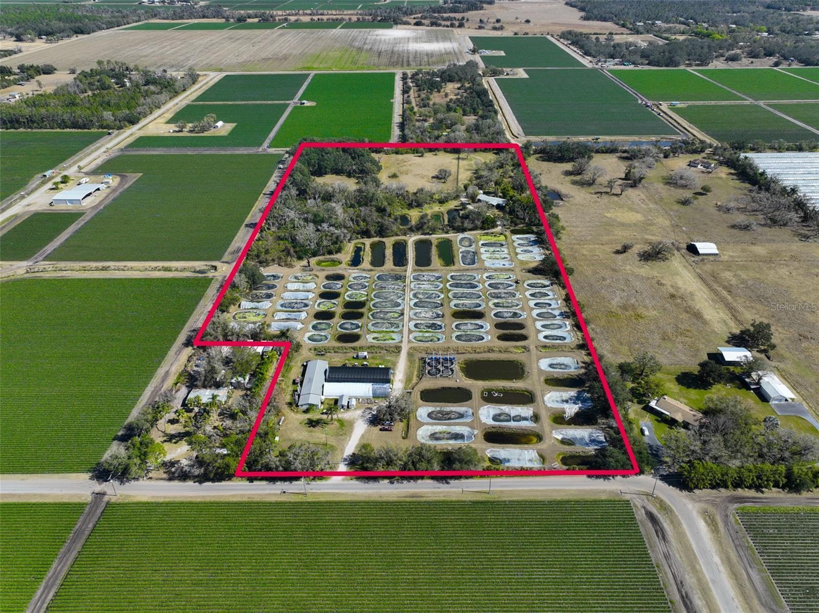 19.5 Acre Aquaculture Business For Sale in Hillsborough County, FL