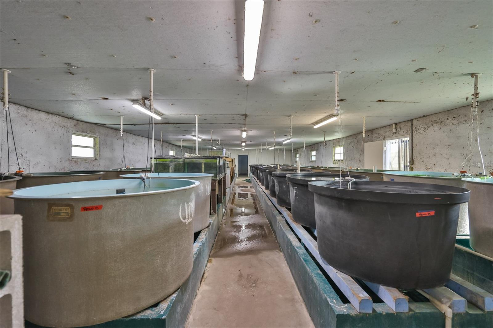 19.5 Acre Aquaculture Business For Sale in Hillsborough County, FL $1,900,000