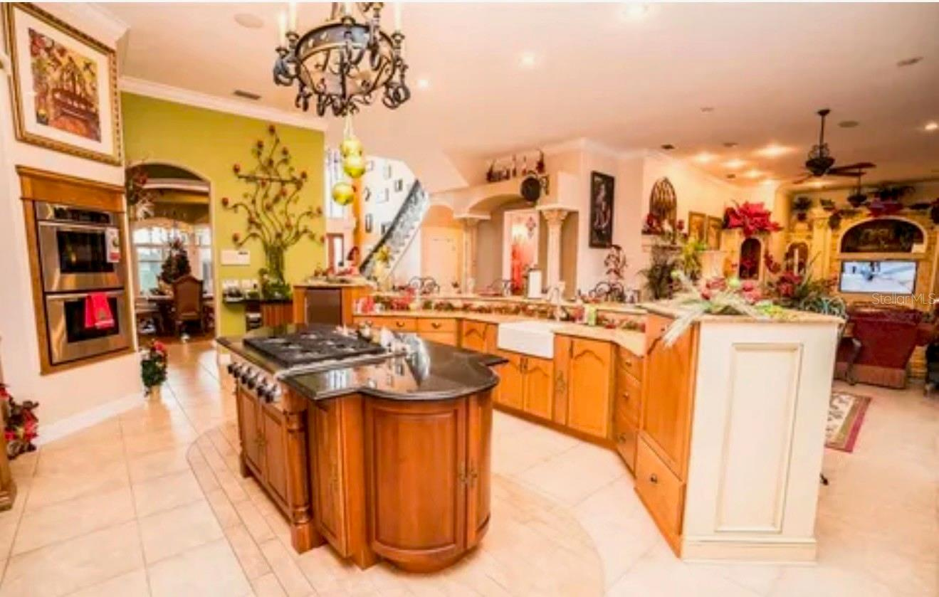 Farm and Lakefront Estate near Tampa, FL - bring the horses and farm animals $4,900,000