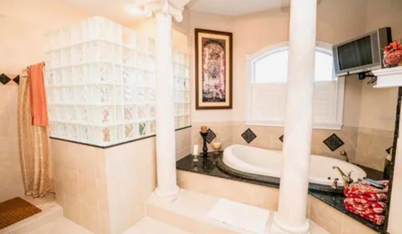 Farm and Lakefront Estate near Tampa, FL - bring the horses and farm animals $4,900,000