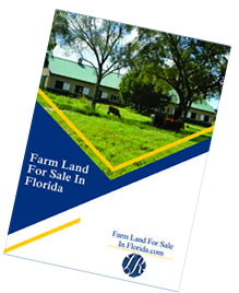 Florida Farm Land Real Estate Specialist - Let us help you buy or sell your next Farm Land Property